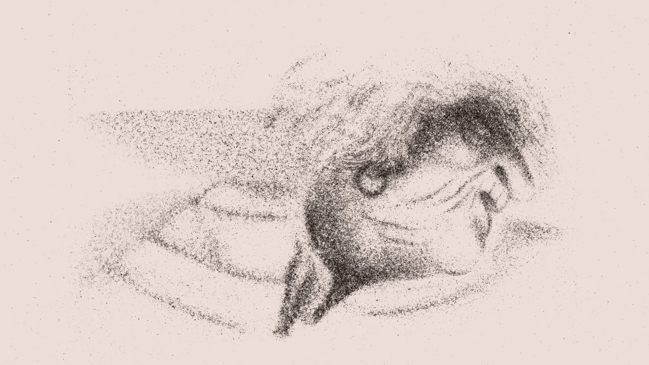Chlo&eacute; Van Herzeele - 剧照