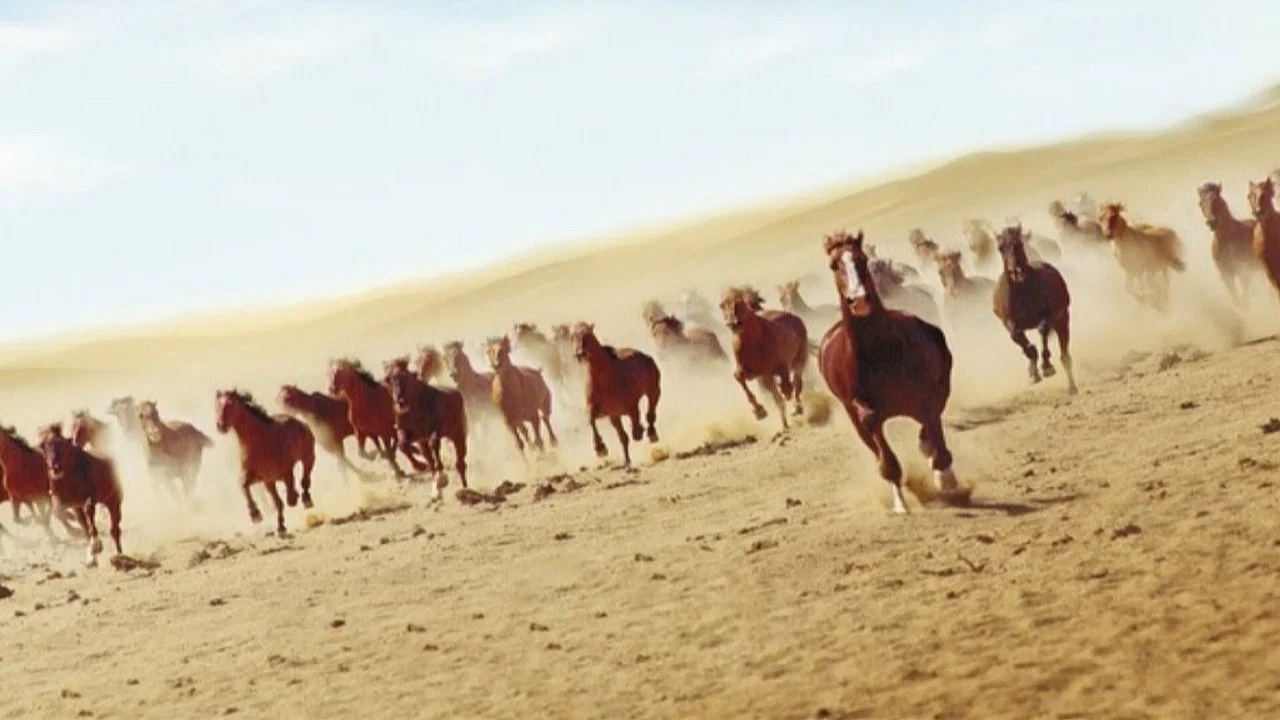 Running Free - 剧照
