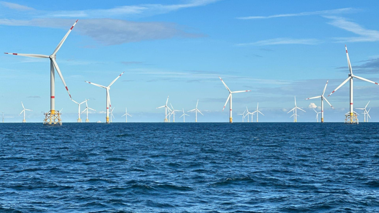 Windparks im Meer - Chance oder Risiko f&uuml;r die Natur? - 剧照