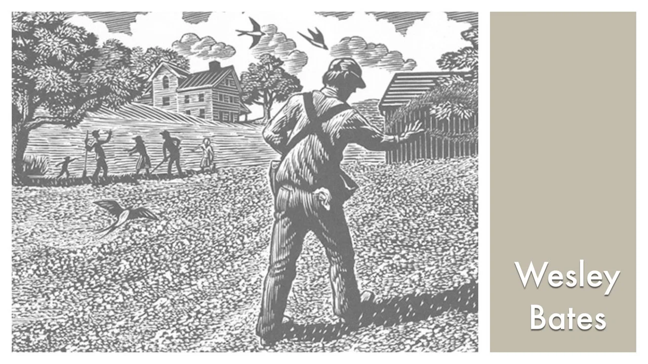 LOOK & SEE:  Wesley W. Bates - Wood Engraver - 剧照