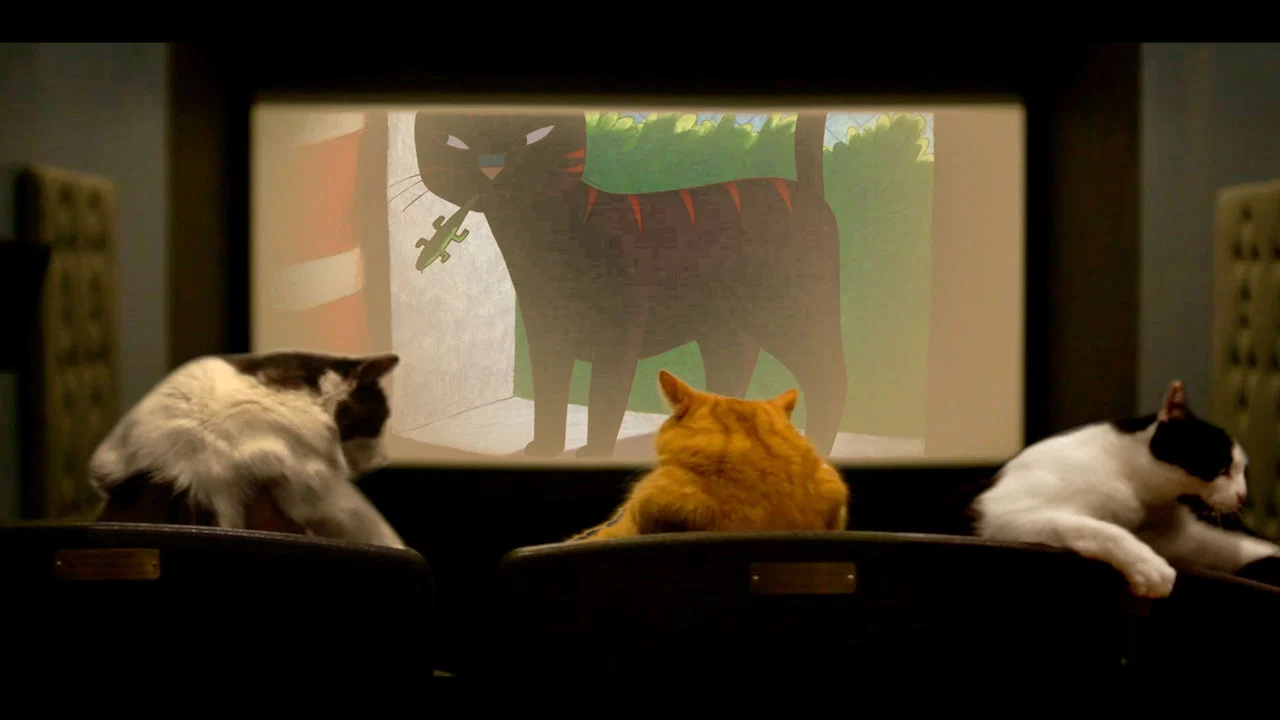 Quarantine Cat Film Festival - 剧照