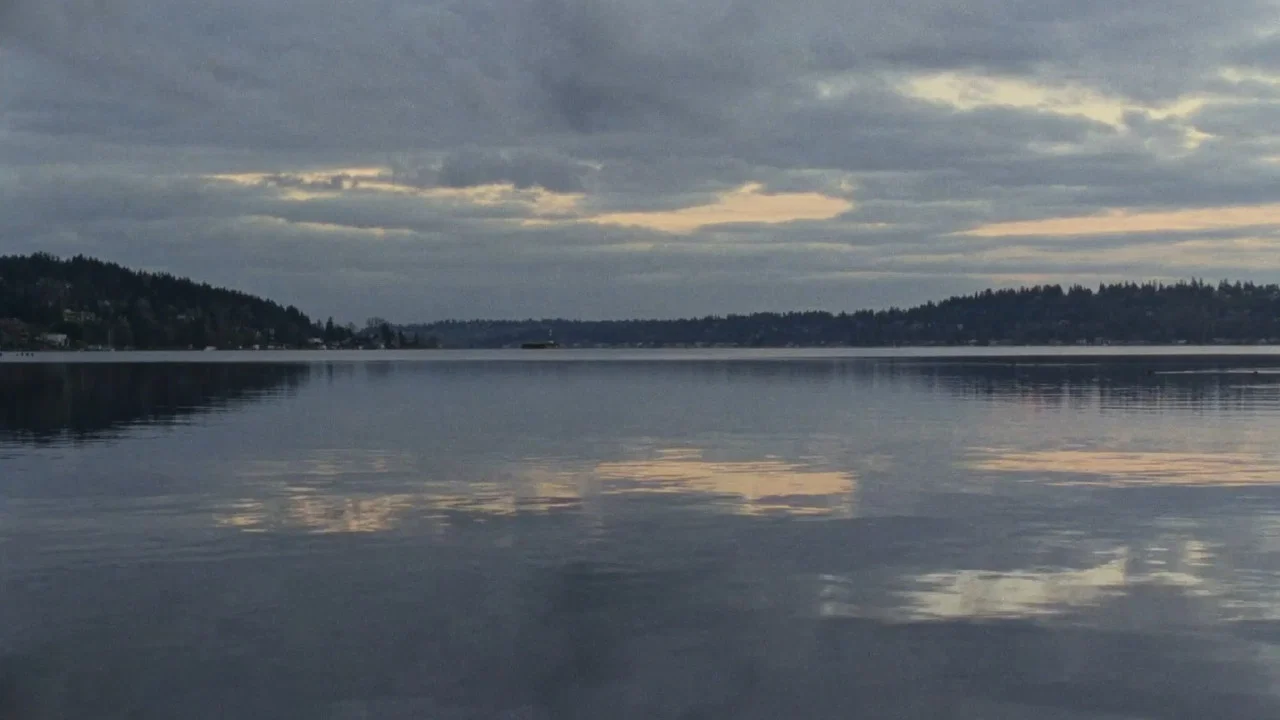 Lake Forest Park - 剧照
