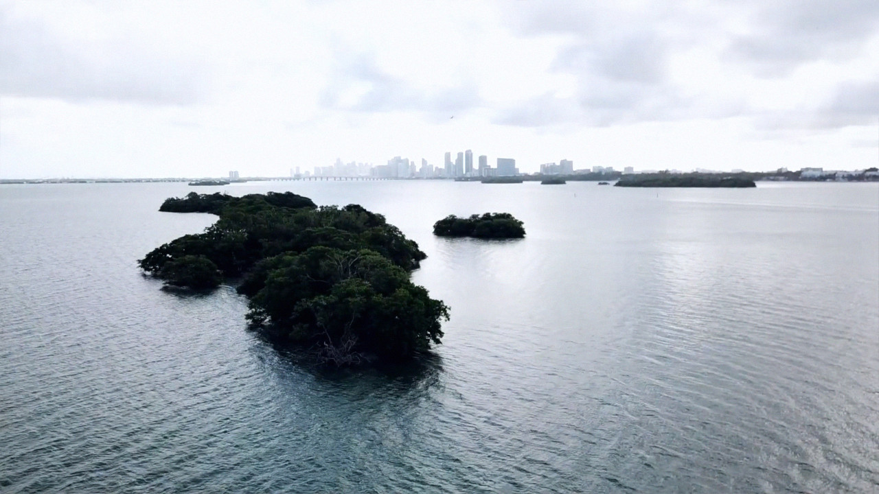 Remembering Surrounded Islands - 剧照