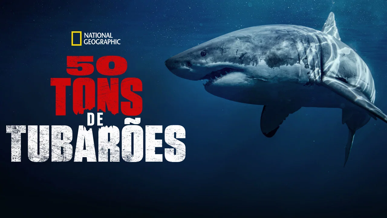 50 Shades of Sharks - 剧照