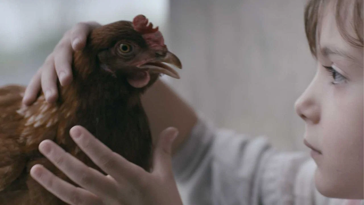 The Chicken - 剧照