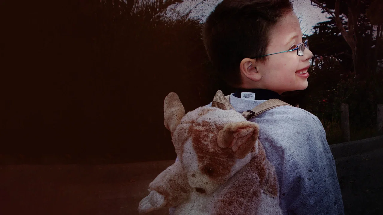 Little Boy Lost: An ID Mystery - 剧照
