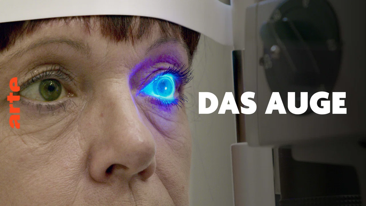 Das Auge - Forschung sehen - 剧照
