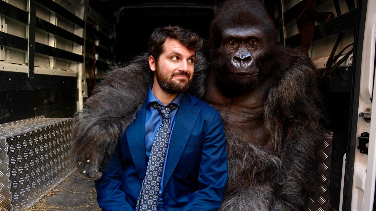 Attenti al gorilla - 剧照