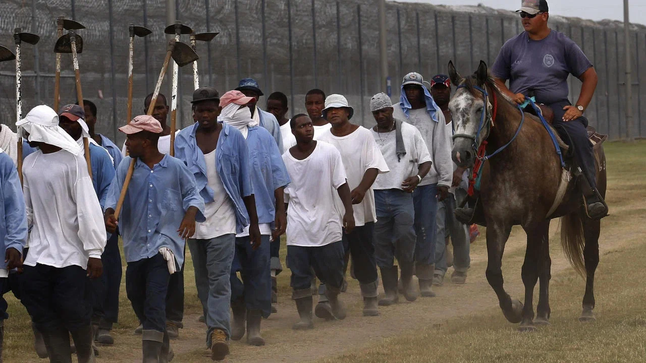 The Farm: Angola, USA - 剧照