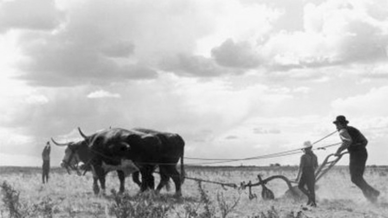 Drylanders - 剧照