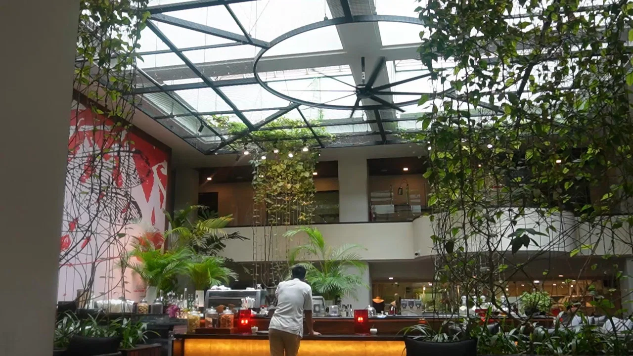 malaysian mcdonalds - 剧照