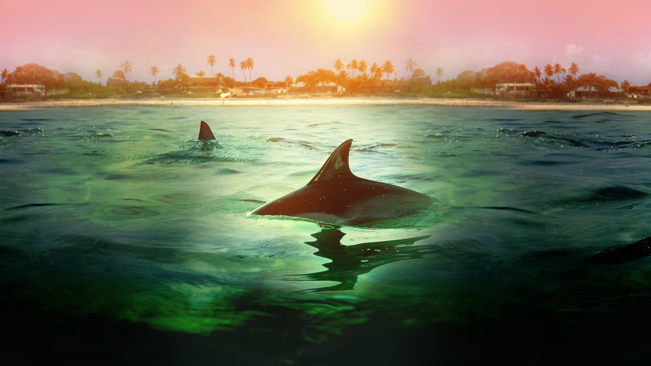 Sharks vs. Dolphins: Bahamas Battleground - 剧照