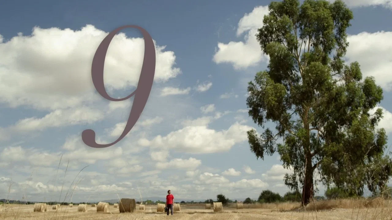 9 ondas - 剧照