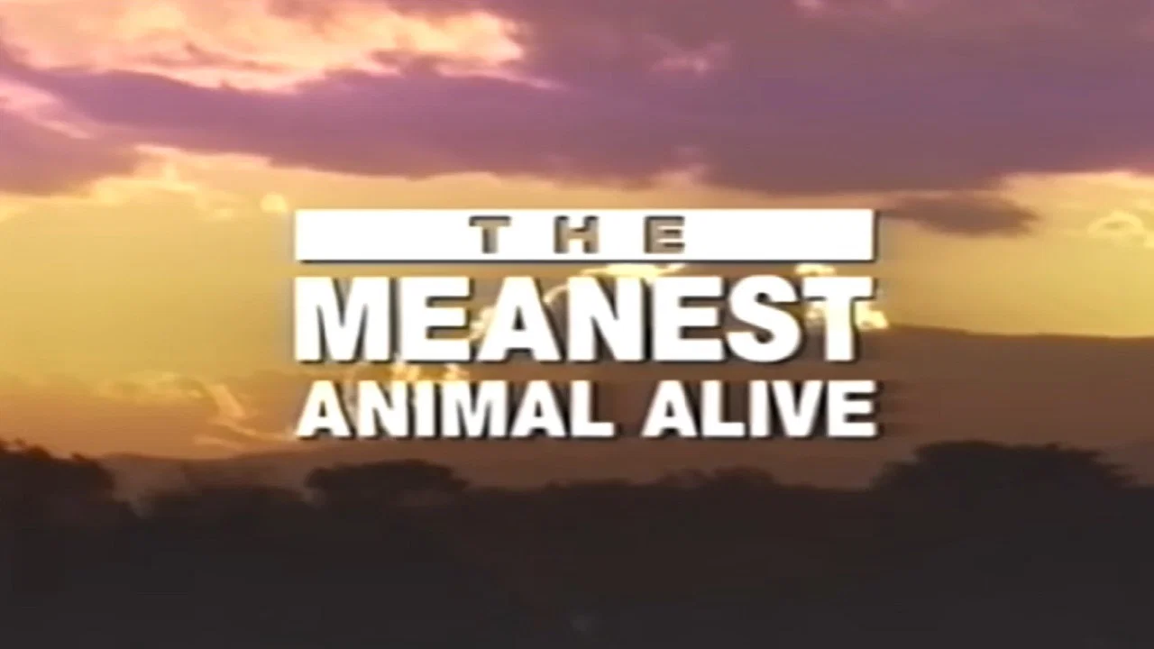 Time Life Animal Oddities: The Meanest Animal Alive - 剧照