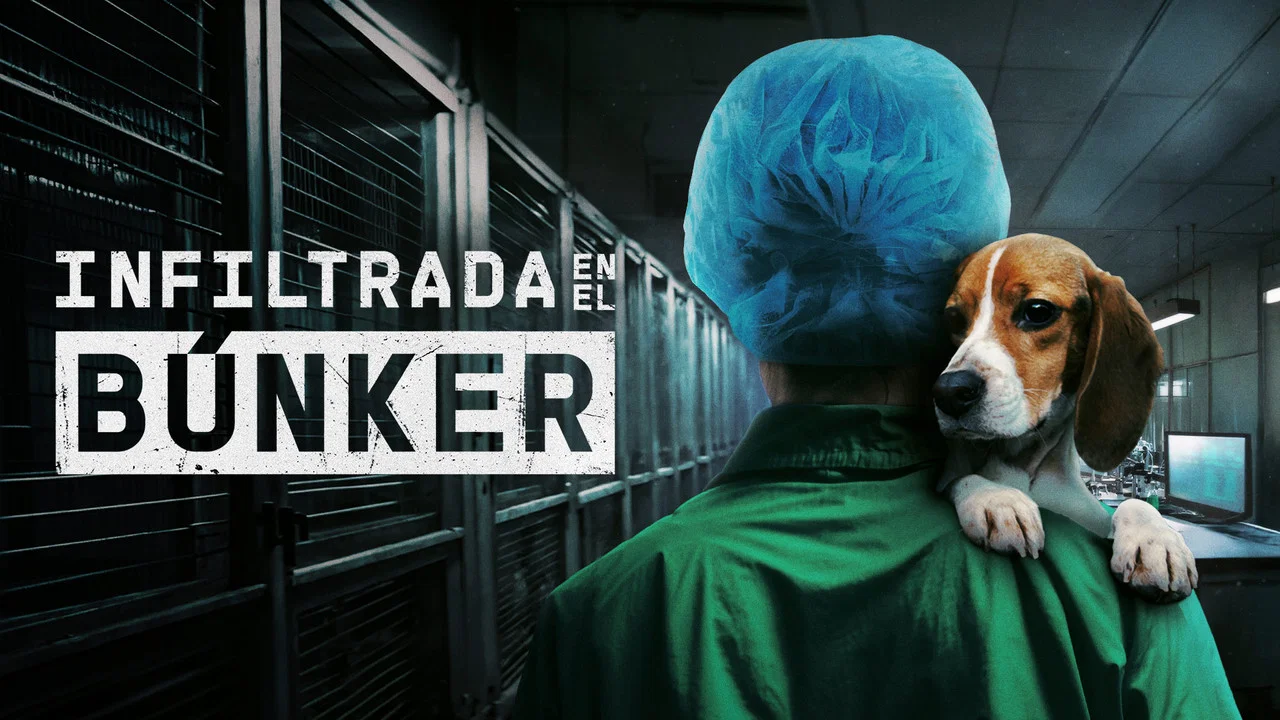 Infiltrada en el b&uacute;nker - 剧照