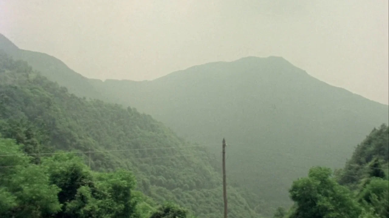 Fortini/Cani - 剧照