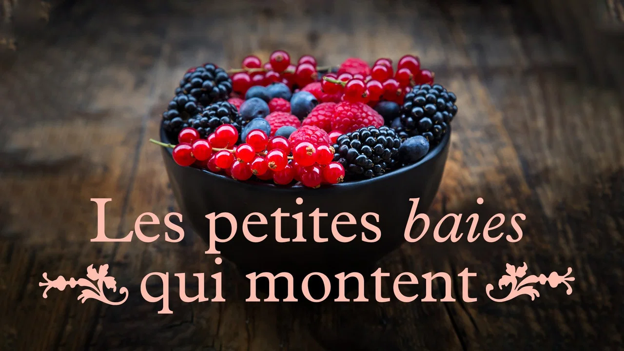 Les petites baies qui montent - 剧照