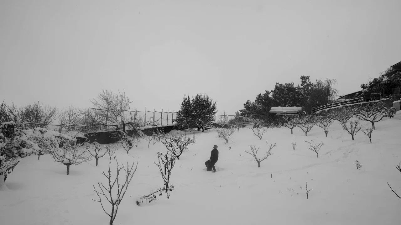 Կռունկ - 剧照