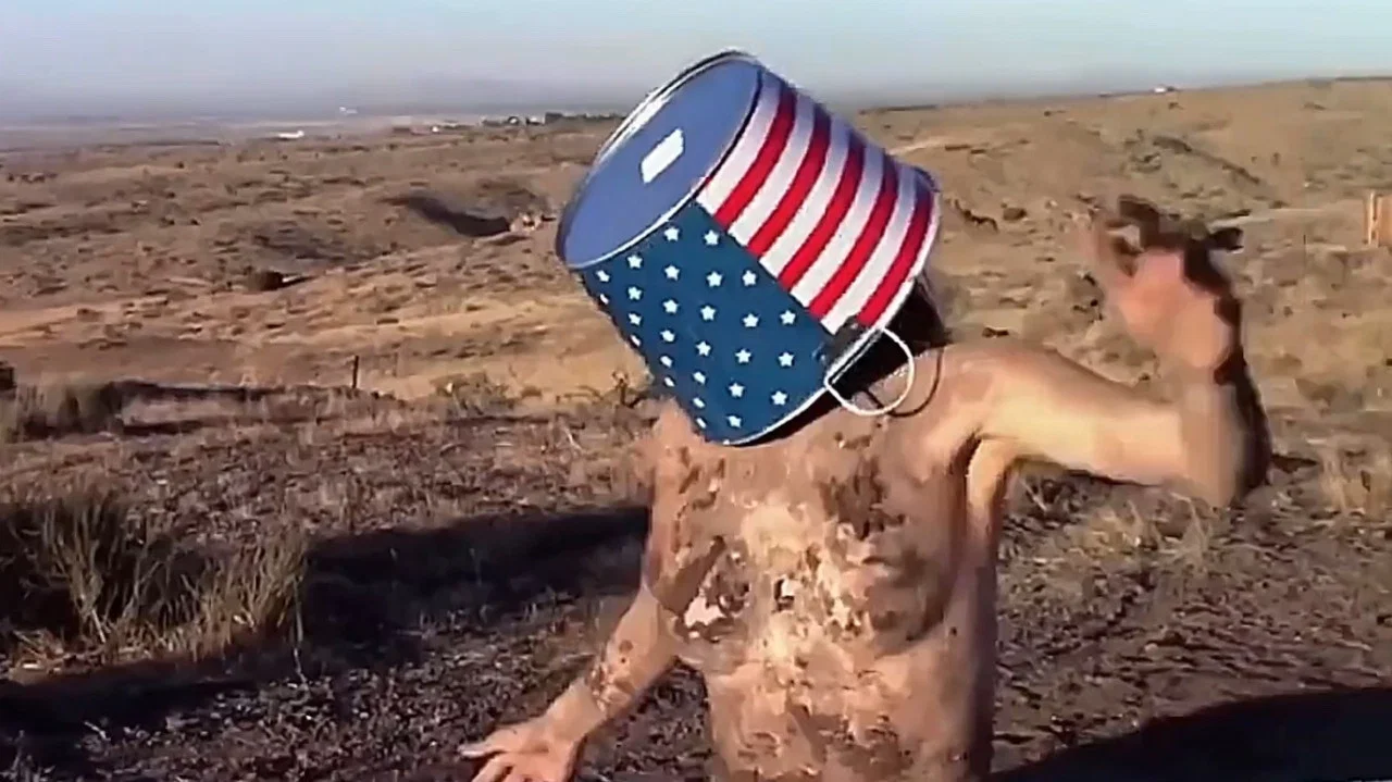 The Great American Mud Wrestle - 剧照