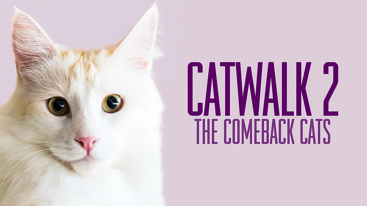 Catwalk 2: The Comeback Cats - 剧照