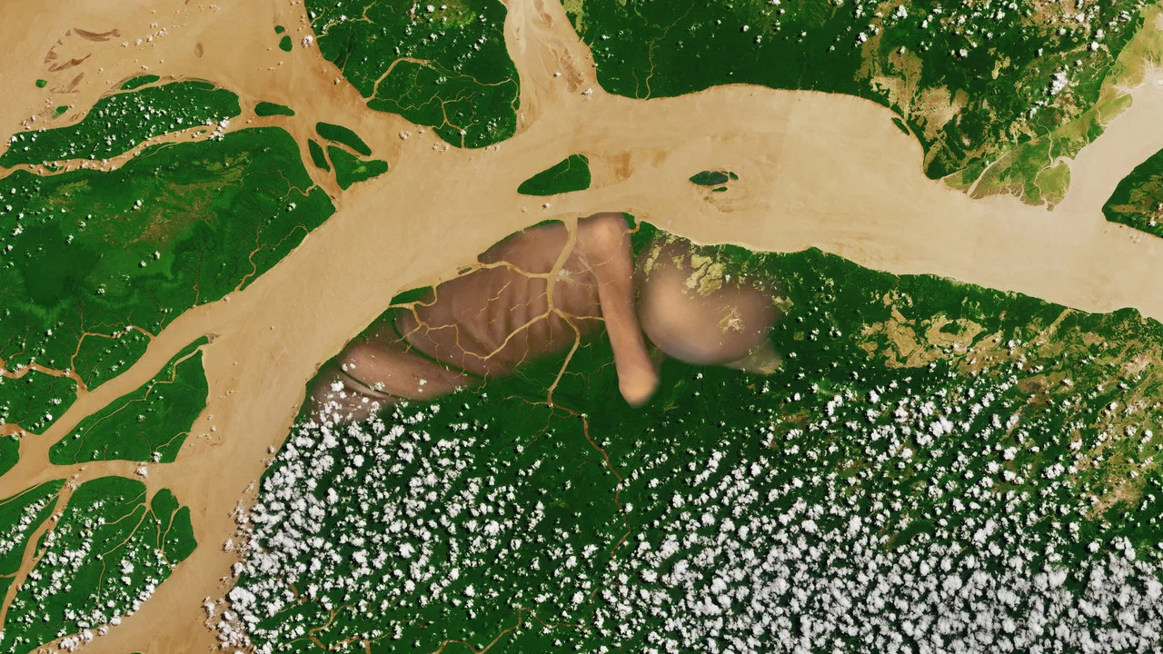 A conquista da floresta - 剧照