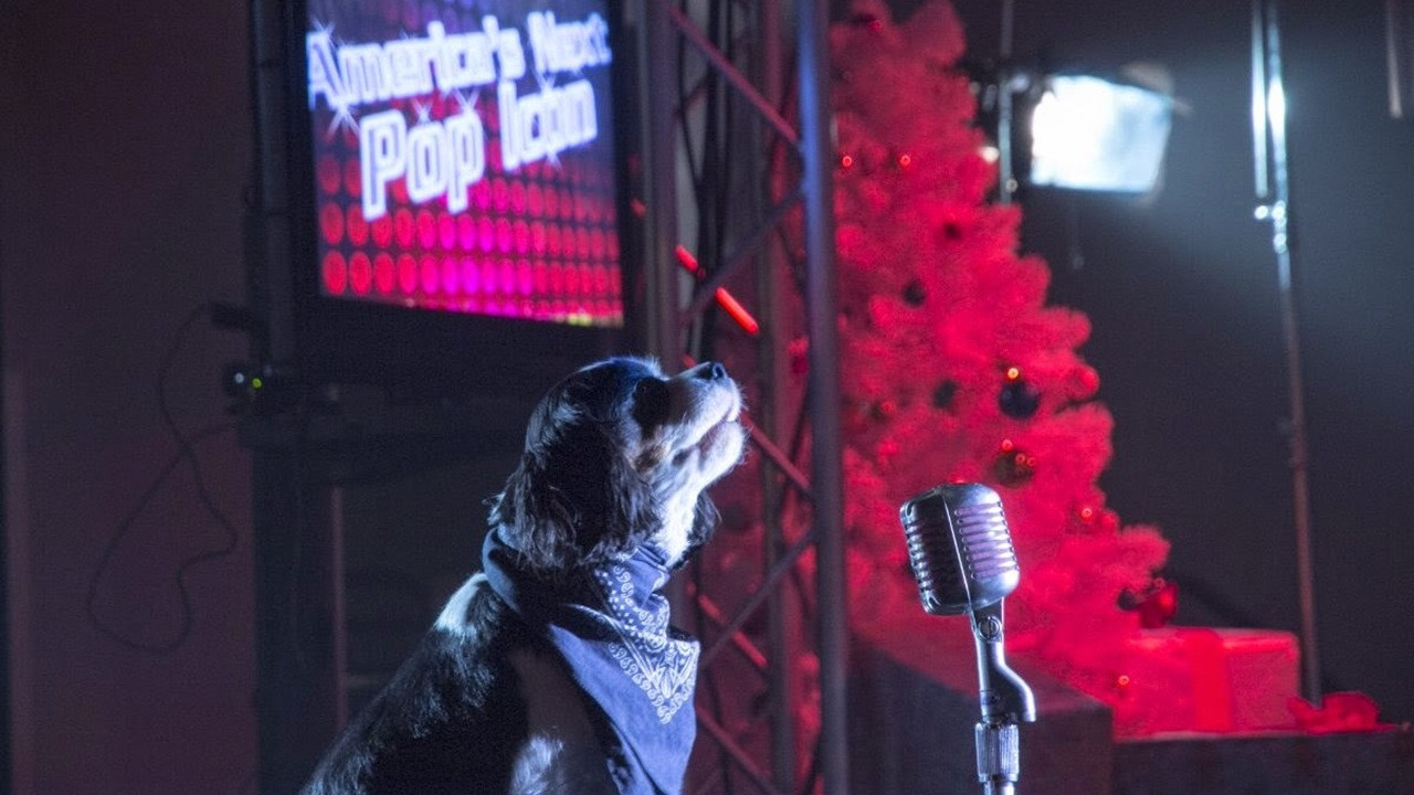 Pop Star Puppy - 剧照