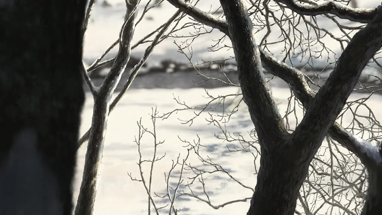 7FATES: CHAKHO - 剧照
