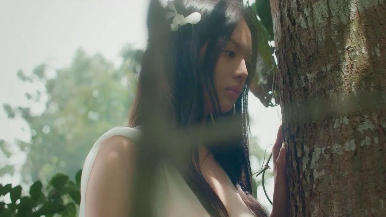处女森林 - 剧照
