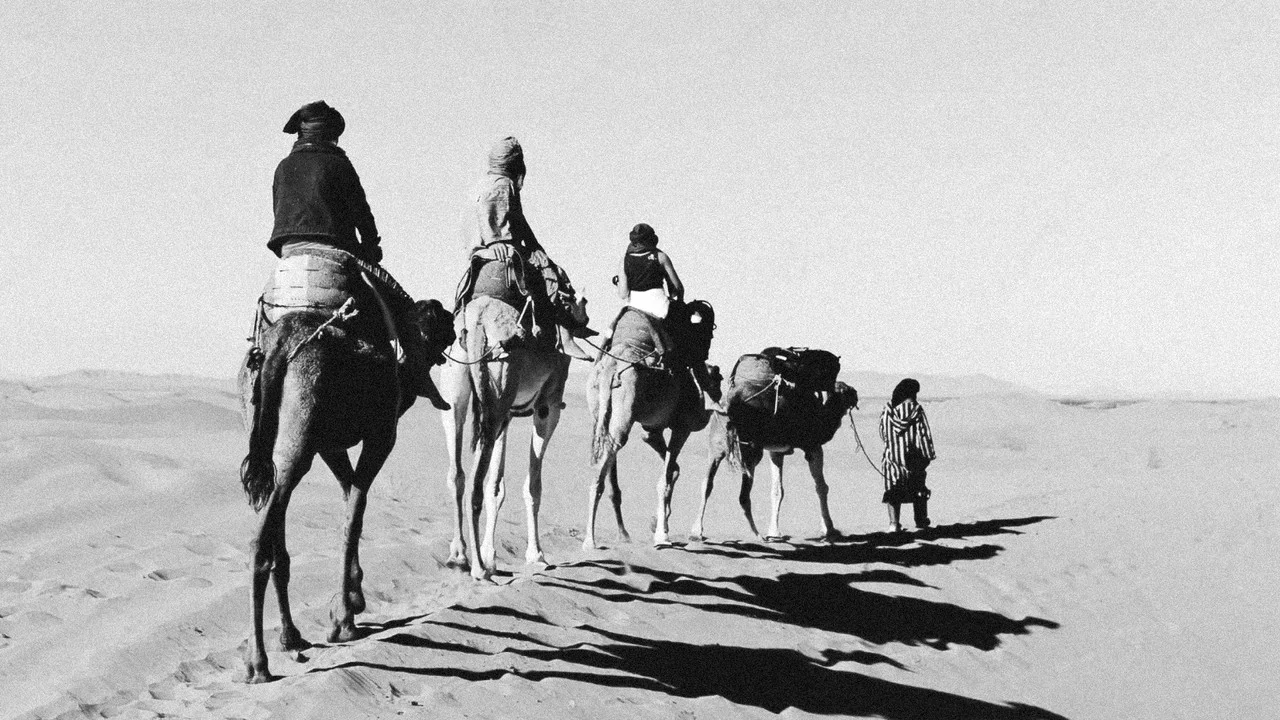 بناديق الحورية (Ban&acirc;diq El-Houria ) - 剧照