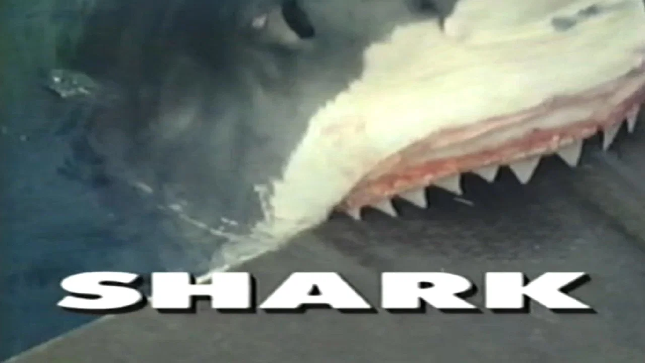 Predators of the Wild: Shark - 剧照