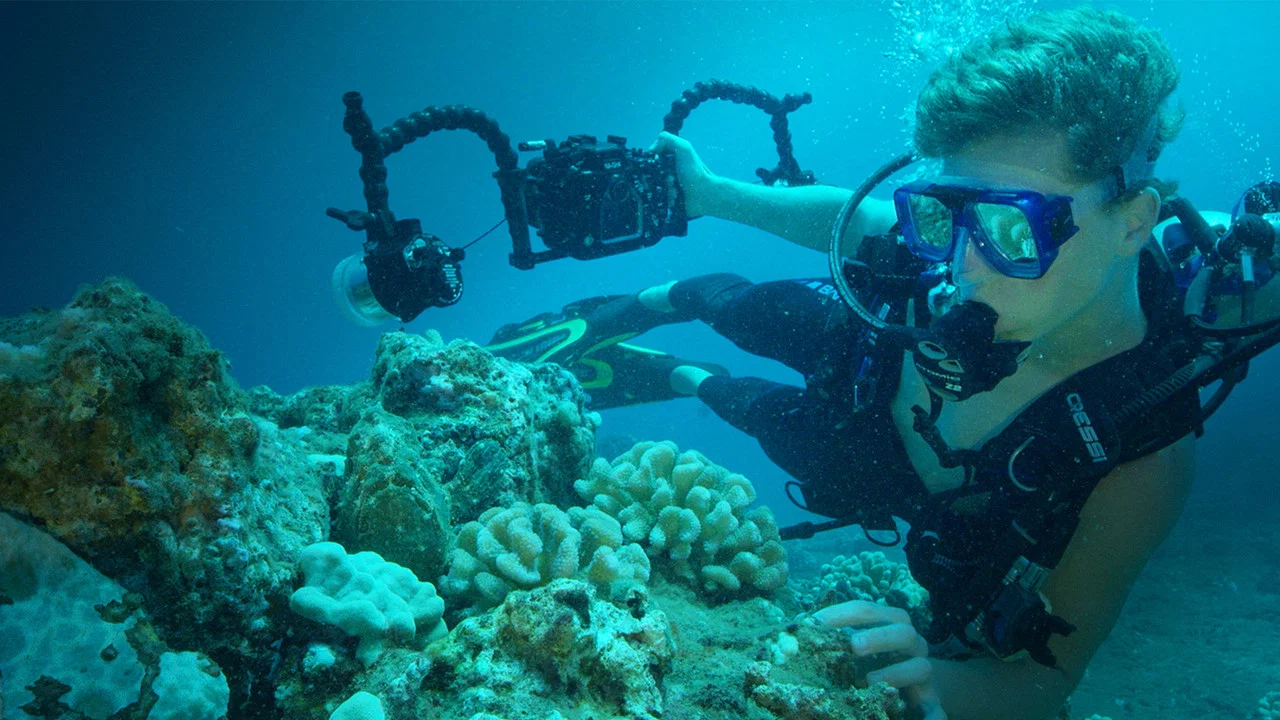 Sea of Hope: America's Underwater Treasures - 剧照