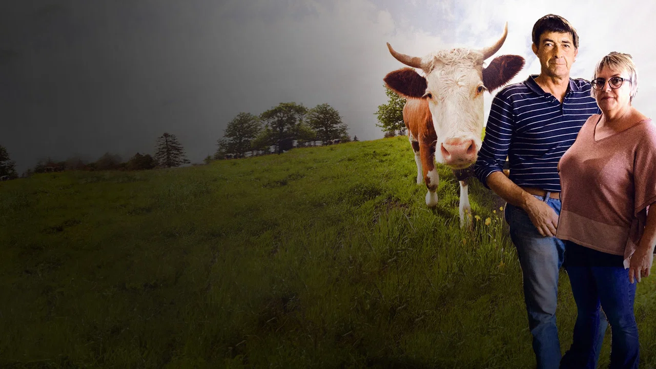 L'Amour vache - 剧照