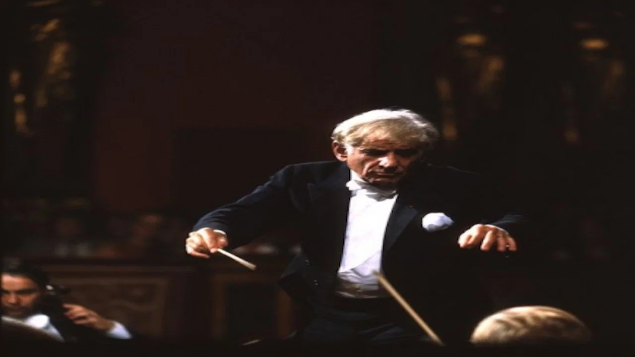 Bernstein Brahms Symphonies - 剧照