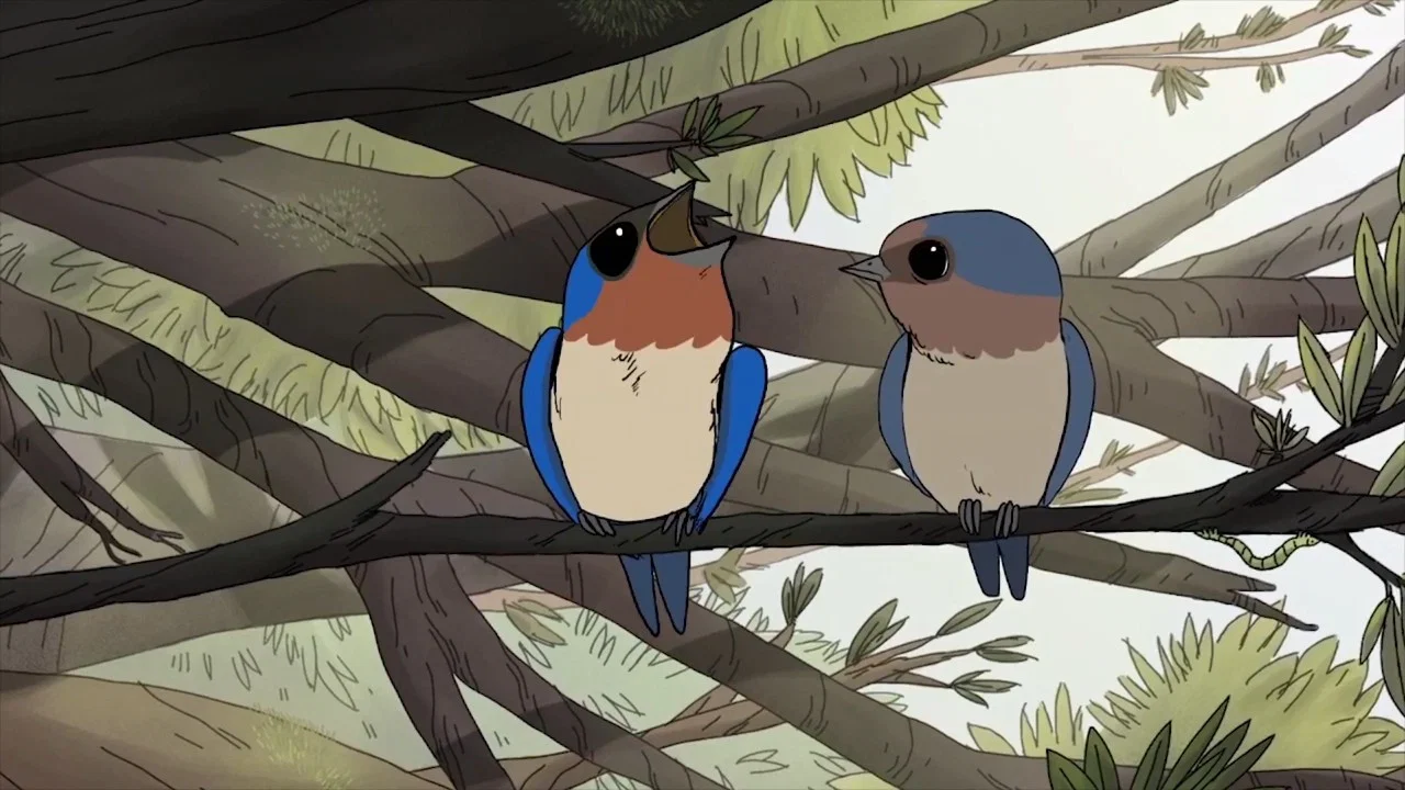 Birds - 剧照