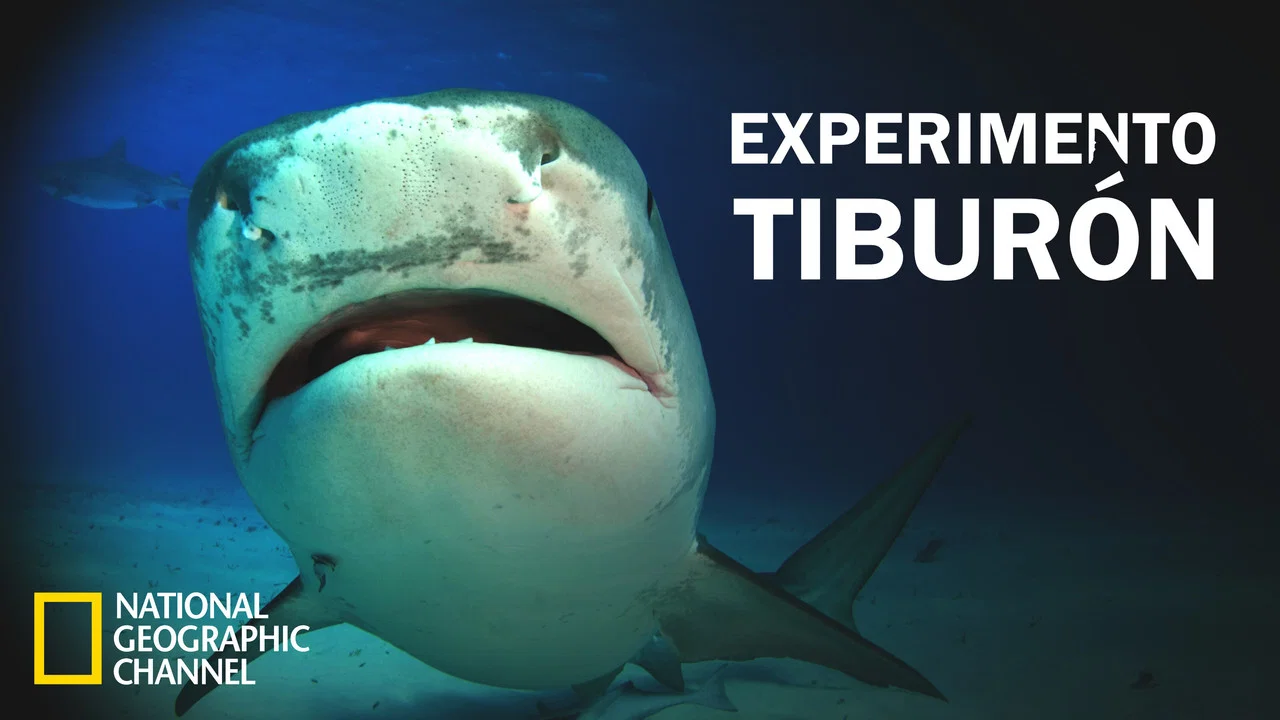 Shark Attack Experiment Live - 剧照