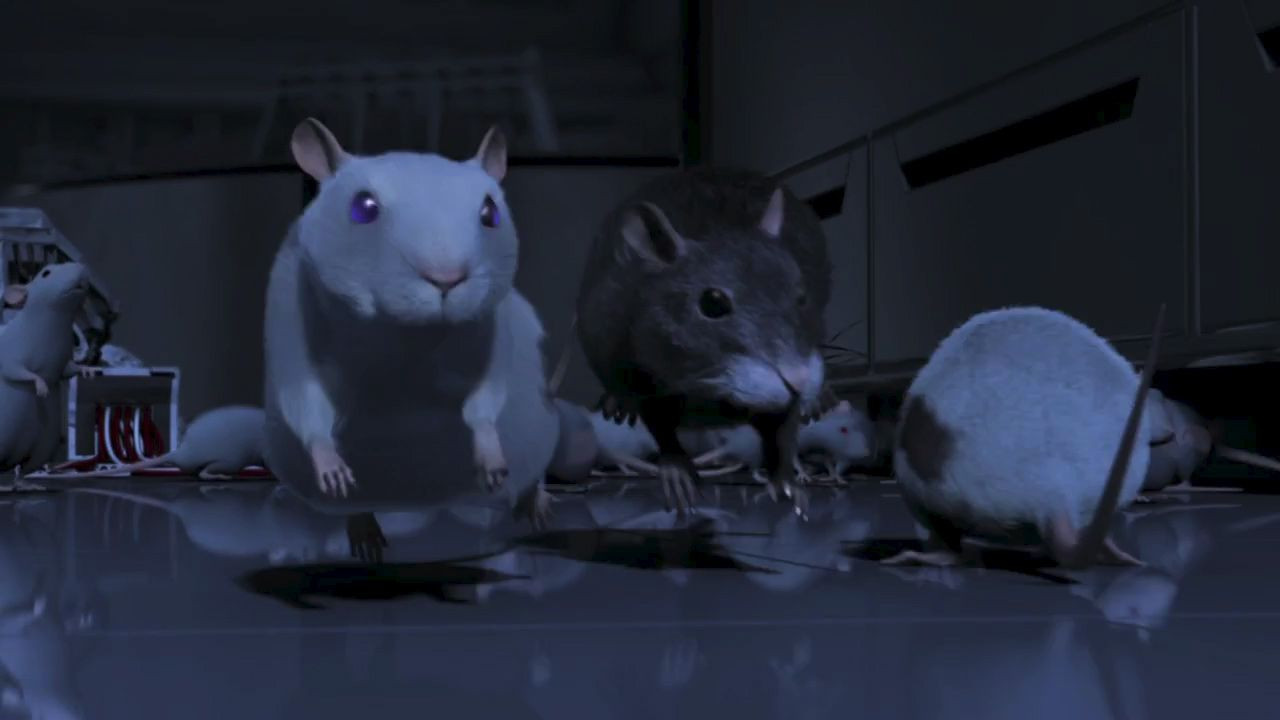 One Rat Short - 剧照