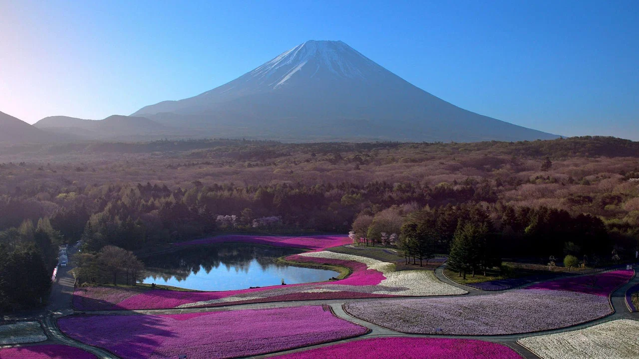 Japon, aux racines du soleil - 剧照