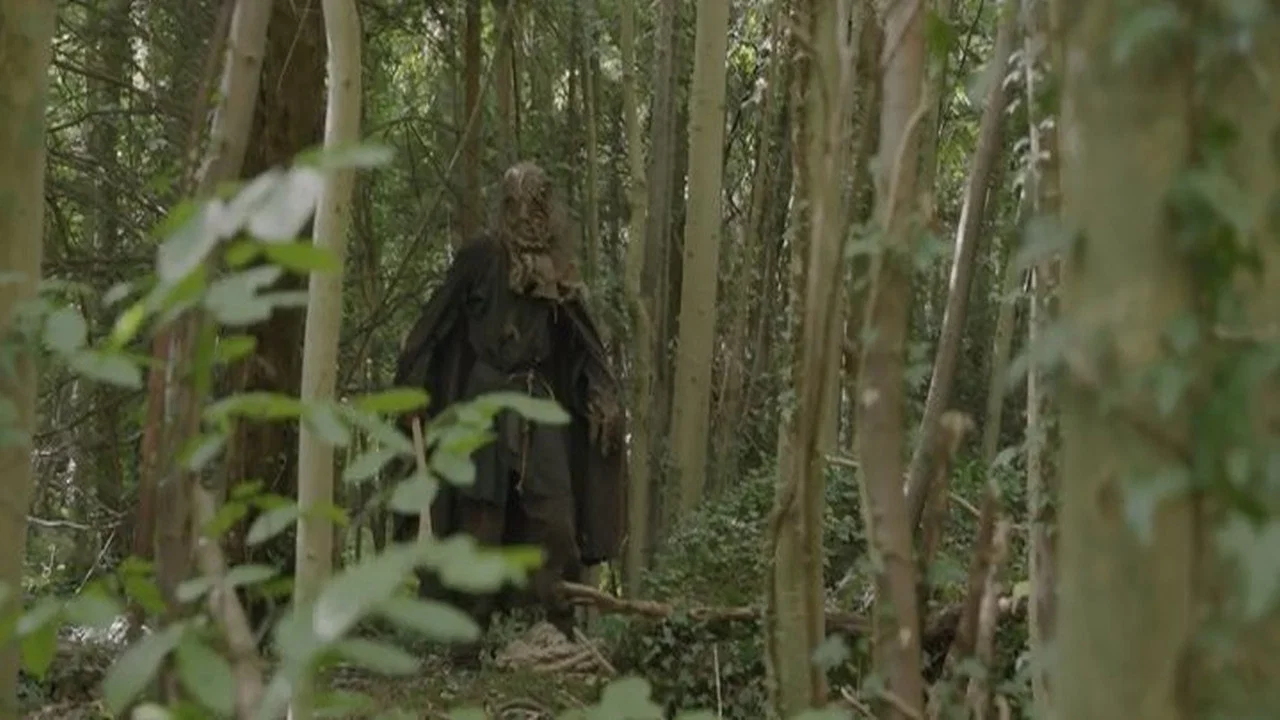 Scarecrow's Revenge - 剧照