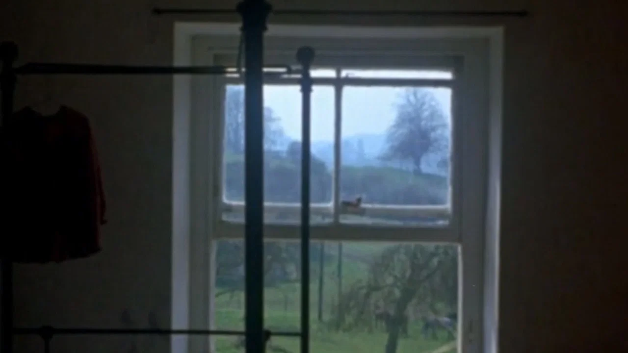 Windows - 剧照