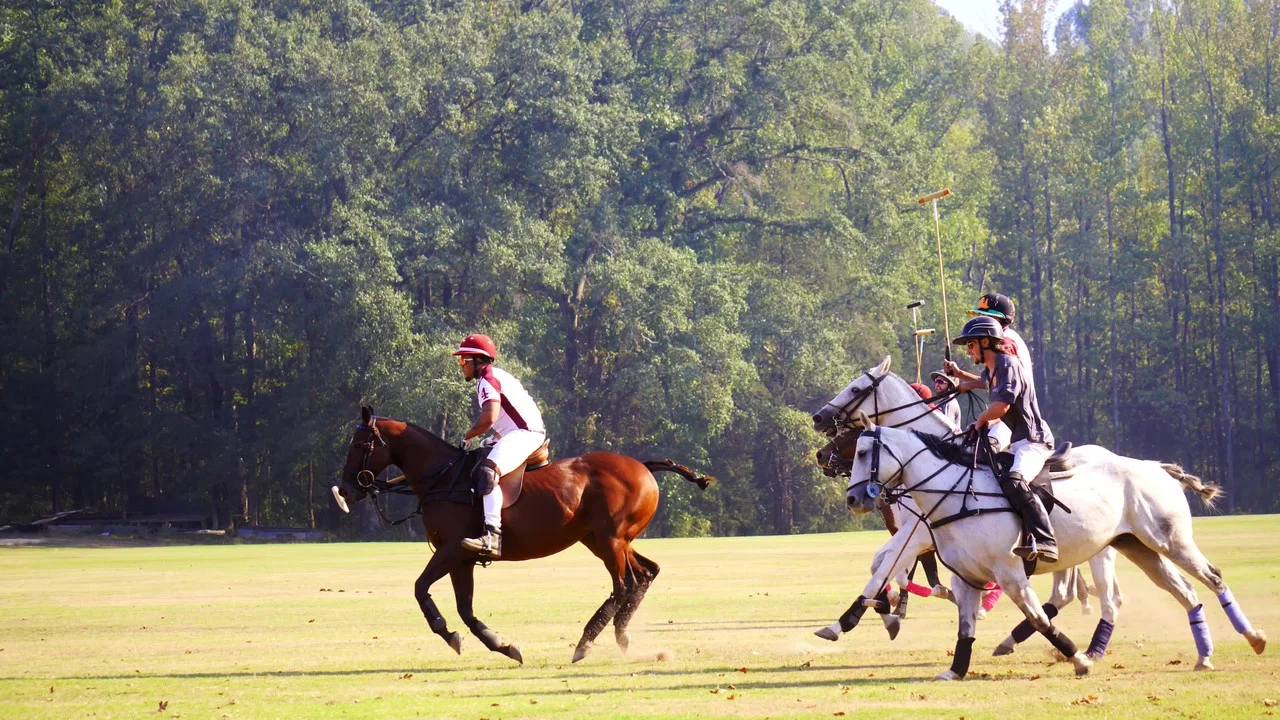 From Rodeo to Polo: The 1st HBCU Polo Team - 剧照