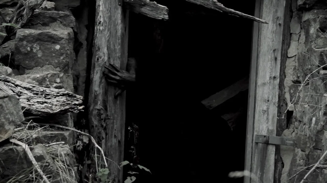Folklore - 剧照