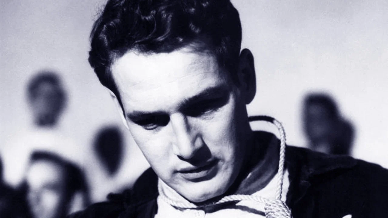 The Rack - 剧照