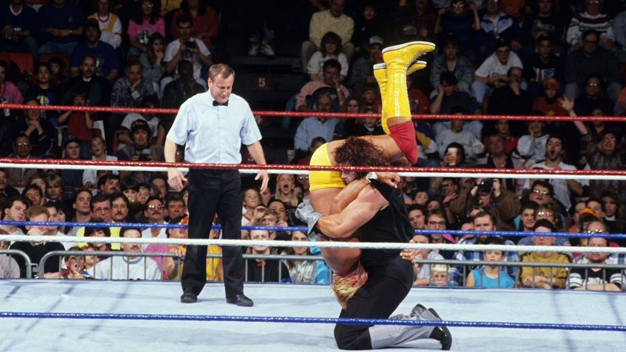 WWE Survivor Series 1991 - 剧照