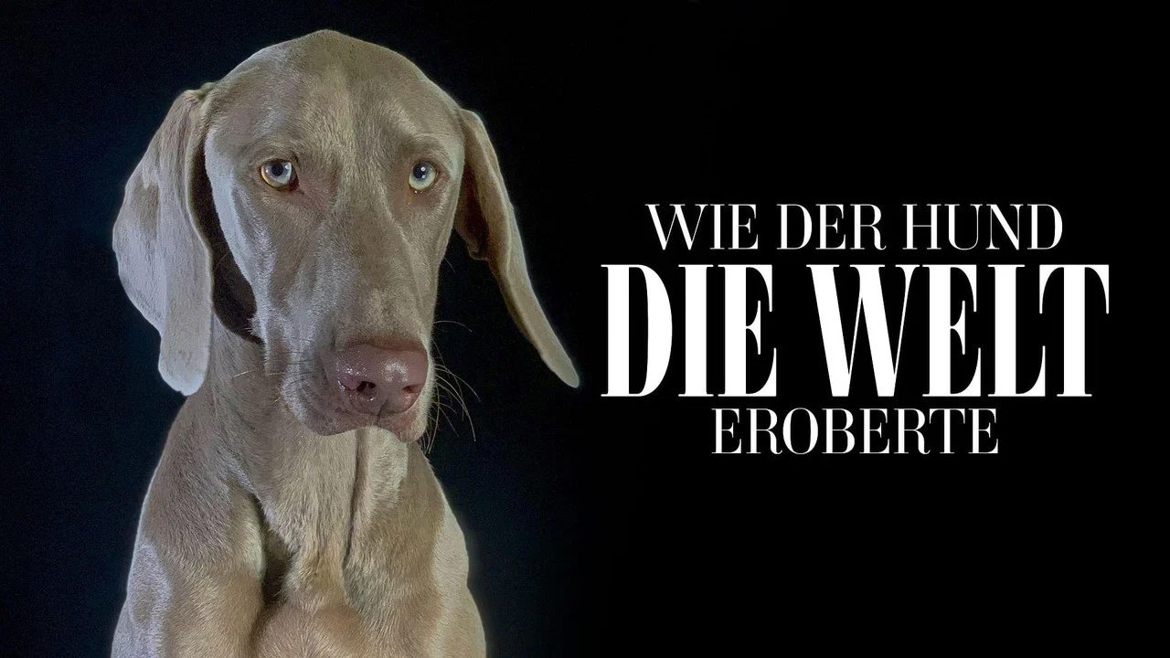 Comment le chien a conquis le monde - 剧照
