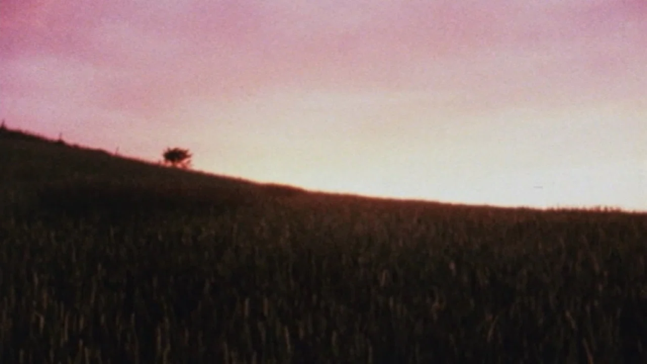 Horizons - 剧照