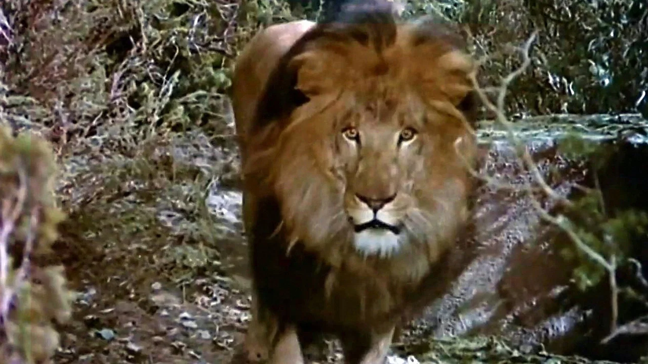 The Lion and the Horse - 剧照