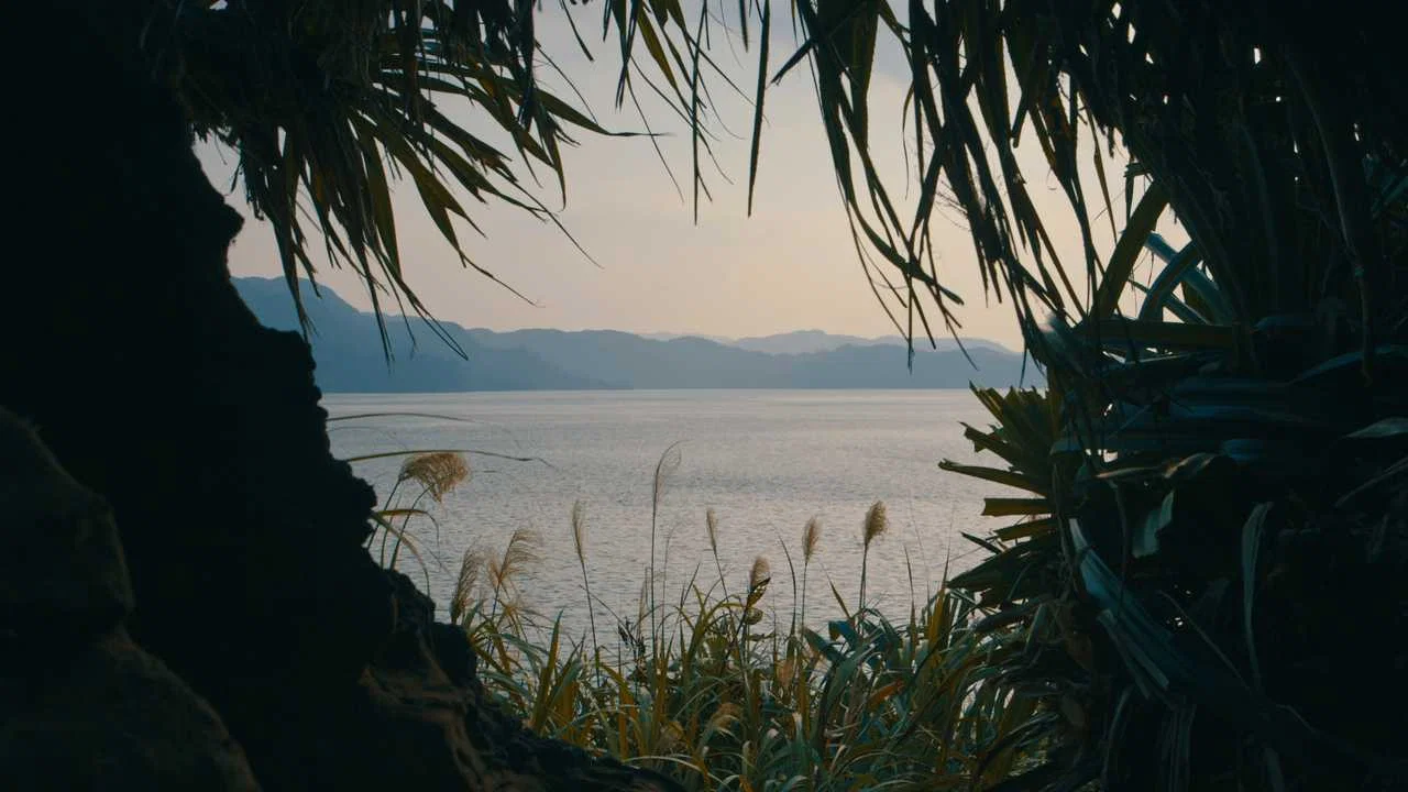 绿色牢笼 - 剧照