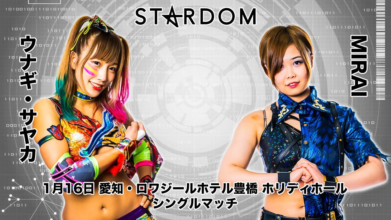 スターダム豊橋大会 - 剧照