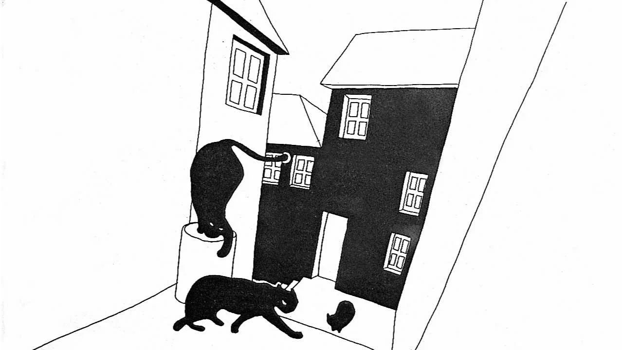 Est&oacute;ria do Gato e da Lua - 剧照
