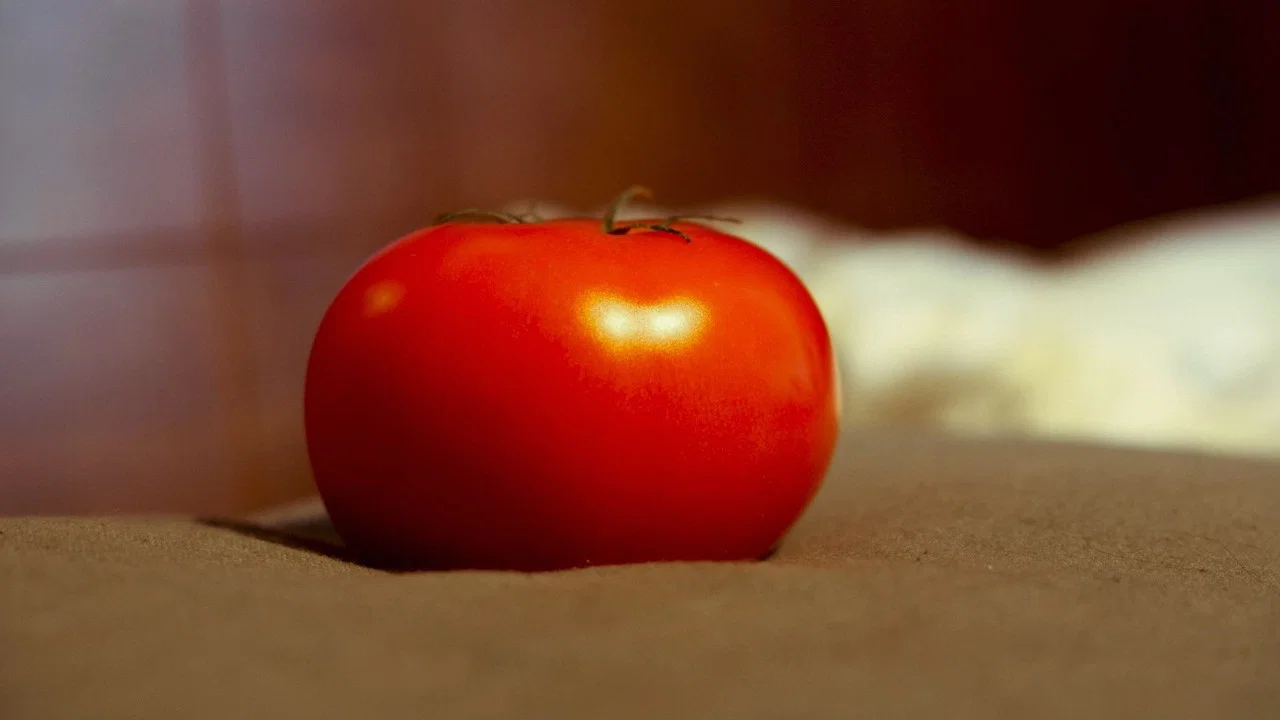 &Ccedil;a roule comme une tomate - 剧照